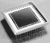 1000s.gif (35694 bytes)